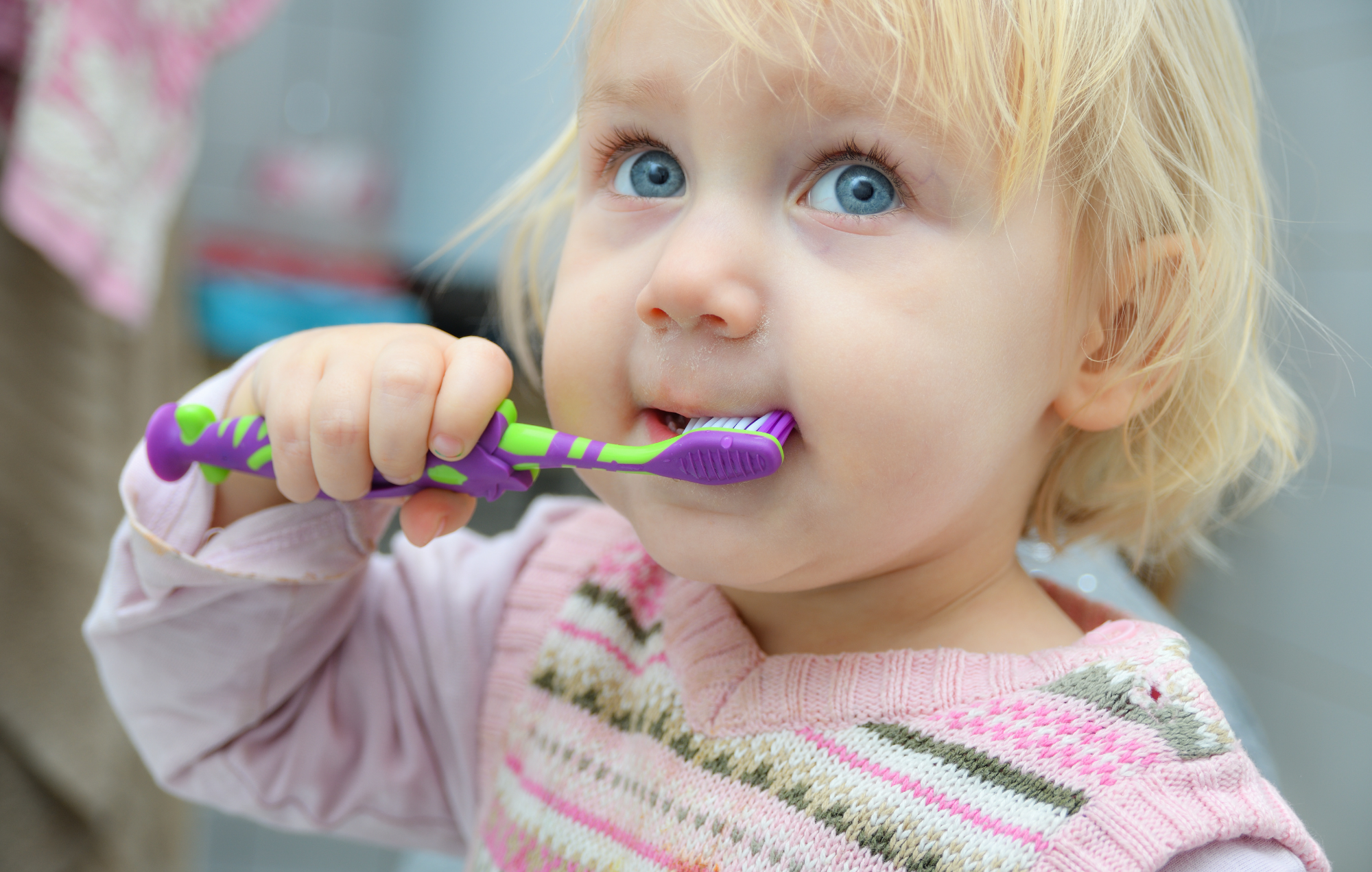 Everyday and family dental care